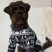 Gifts for Pets
